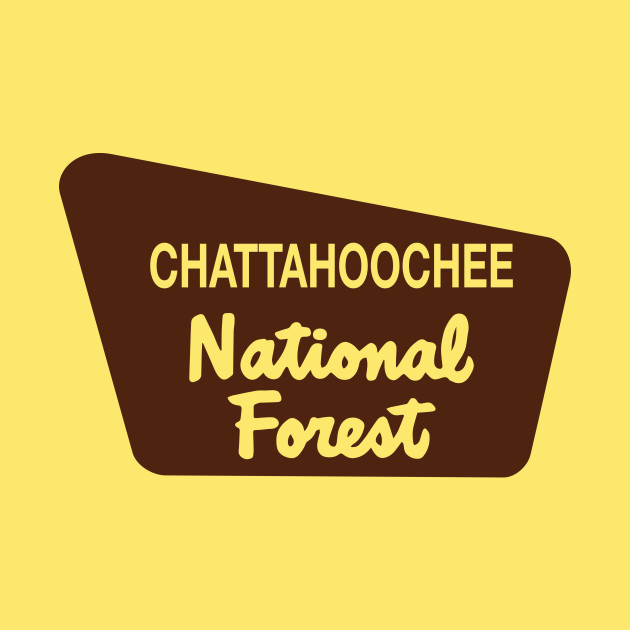 Chattahoochee National Forest - National Forest - Phone Case