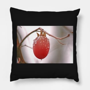 The Last Persimmon Pillow