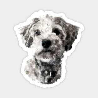 Dramabite Watercolour Shih Tzu Maltese Puppy Dog Magnet