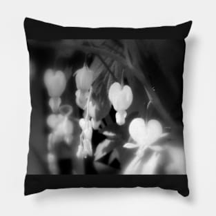 elegant white bleeding hearts, black and white, darker Pillow