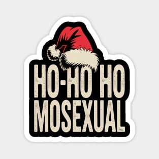 LGBT Pride Gay Lesbian Christmas Homosexual Magnet