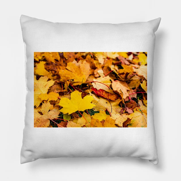 Autumn background of fallen yellow and orange leaves Pillow by lena-maximova