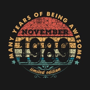 Born In November  1989 Vintage Shirt ,30th Years Old Shirts,Born In 1989,30th Anniversary 1989 Gift T-Shirt