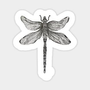 Pen and Ink Dragonfly Magnet