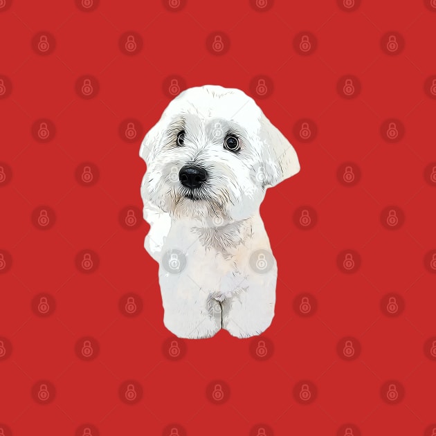 Coton de tulear dog teddy by ElegantCat