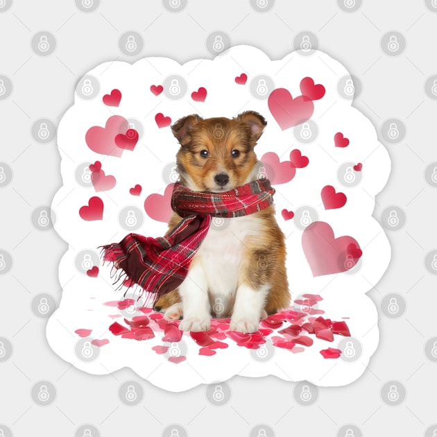 Shetland Sheepdog Hearts Love Happy Valentine's Day Magnet by cyberpunk art