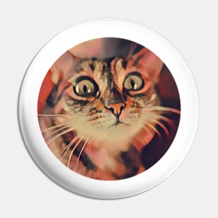 Amusing floppy cat Pin