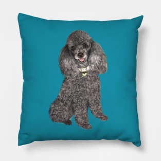 A  Silver Toy or Miniature Poodle - Just the Dog Pillow