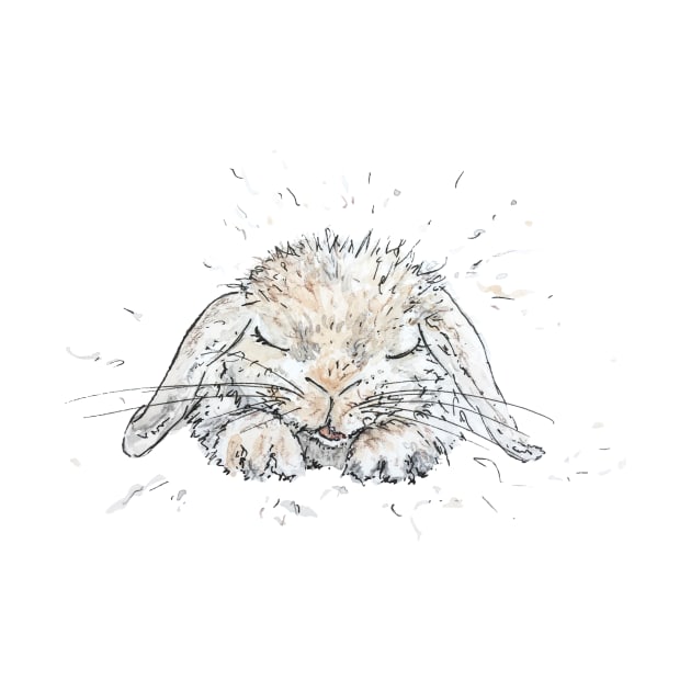 Sleeping bunny rabbit by B-ARTIZAN