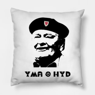 Yma O Hyd, Daffyd Iwan, Welsh folk hero Pillow