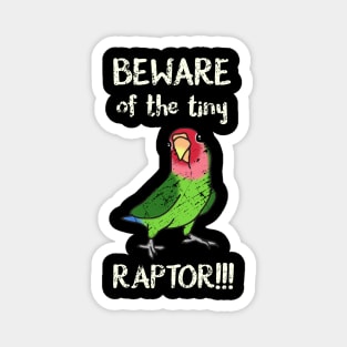 Beware of the tiny Raptor Green Lovebird Rosy faced Magnet