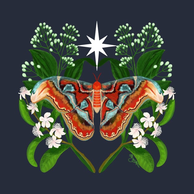 Atlas Moth in the Stars by Megan Steer