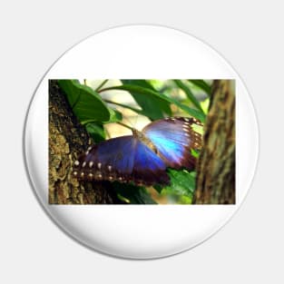 Purple and Blue Butterfly in Tree Pin