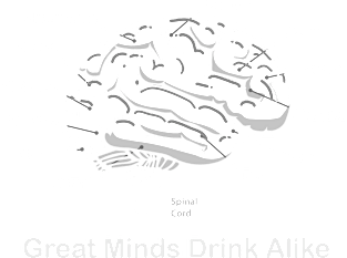 Great Minds Drink Alike Magnet