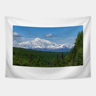 The Great Denali Tapestry