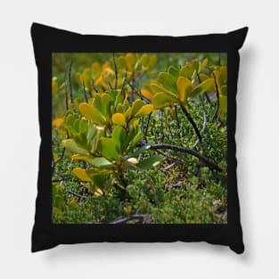Beach Mangrove 2 Pillow