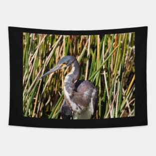 Tricolored Heron in Florida Wetlands Tapestry