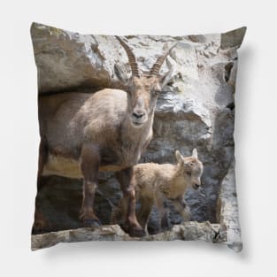 Capricorn Baby / Swiss Artwork Photography Pillow