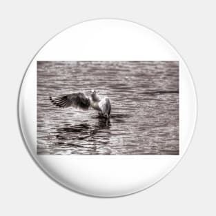 Gull Pin