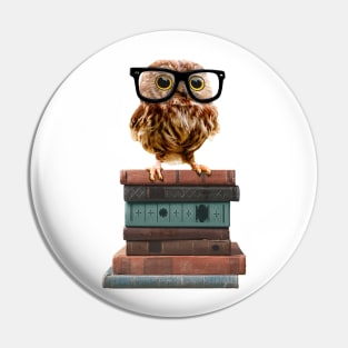 Adorable Nerdy Owl with Glasses on Books Pin