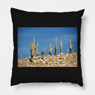 Argentine - Quebrada de Humahuaca Pillow