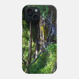 Mountain hike Phone Case