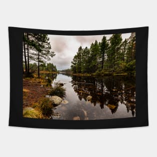 Loch Gamhna - Cairngorms Tapestry