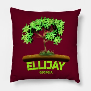 Ellijay Georgia Pillow