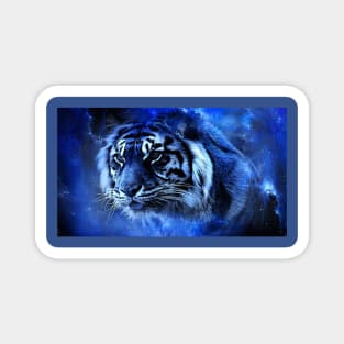 Tiger t-shirts design Magnet