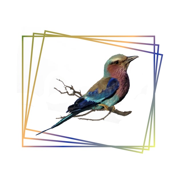 Lilac-breasted-Roller - Bird in Africa by T-SHIRTS UND MEHR