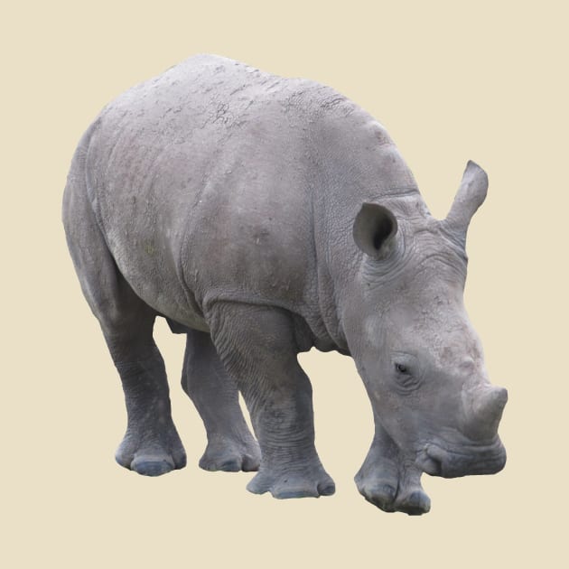 Rhino Baby - Rhino - Wildlife in Africa by T-SHIRTS UND MEHR