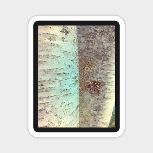 Autumn Birch Tree Abstract Magnet by oliviastclaire