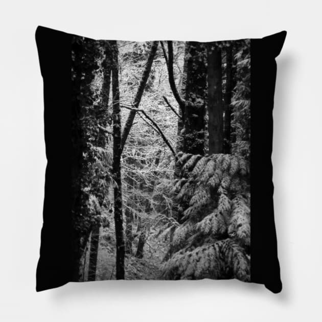 snowy Oregon forest 3 Pillow by DlmtleArt