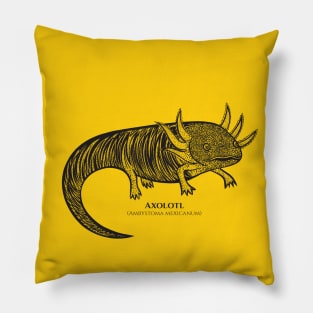 Axolotl with Common and Scientific Names - cool detailed animal design Pillow