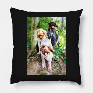 Windy in the woods Spinone Pillow