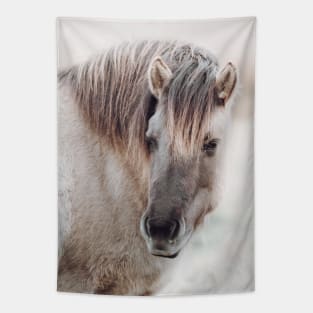 Konik Horse Portrait | Horse Photography | Horse Fine Art Print Tapestry