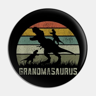 Rawr Dinosaur Grandma Grandmasaurus 2 Kids T-Rex Pin