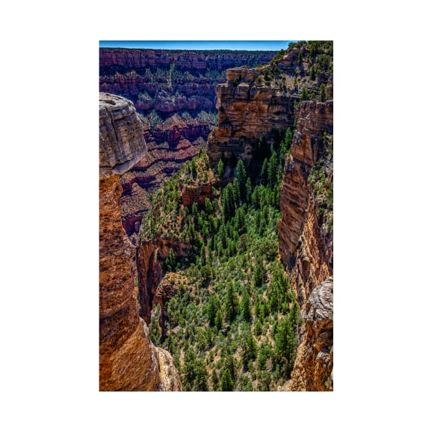 Mather Point Grand Canyon by Gestalt Imagery