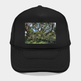 Spanish Moss Hat