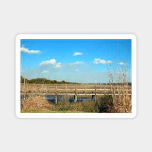 Salt Marsh View Magnet