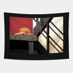 Sleeping Guard Tapestry