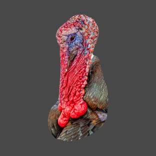 Turkey Gobbler T-Shirt