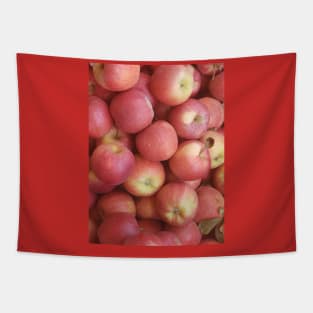 Apples Tapestry