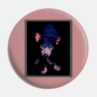 Tasmanian Devil Pin