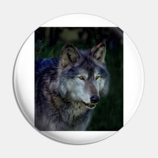 The Night of The Wolf Pin