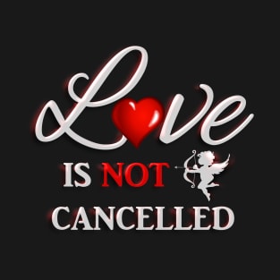 Happy Valentine's Day Love is Not Cancelled T-Shirt