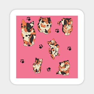 Pink Calico Kittens Magnet