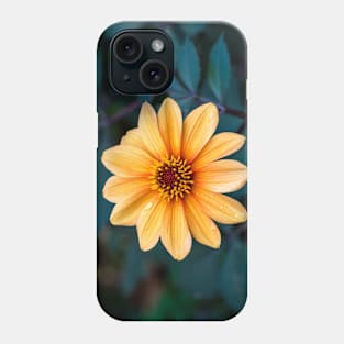Orange Flowering Dahlia Phone Case
