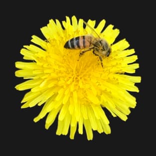 Bee on a Dandelion T-Shirt