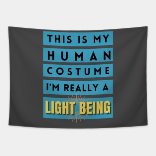 This is my human costume, I'm really a Light Being Tapestry